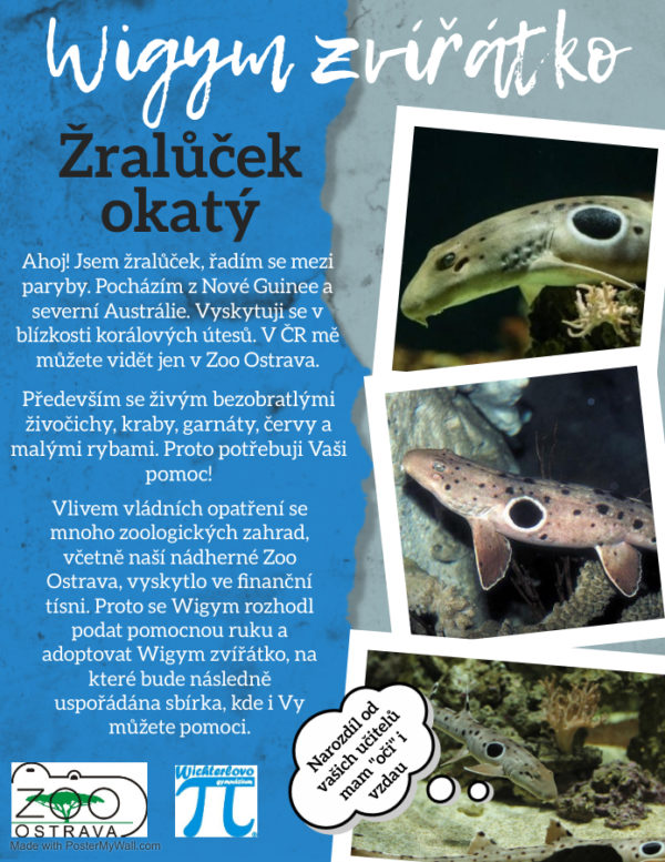 Pomozme Zoo Ostrava- adoptujme Wigym zvířátko