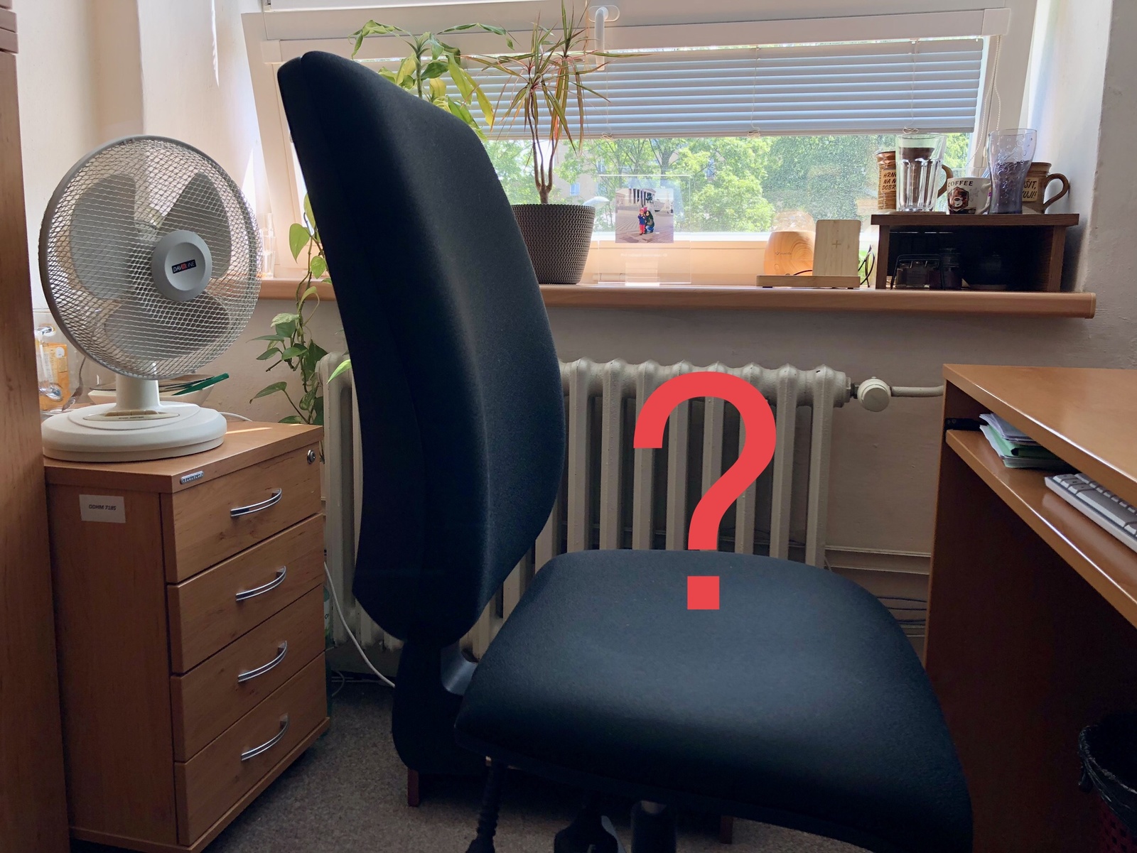 Wigym hledá účetní